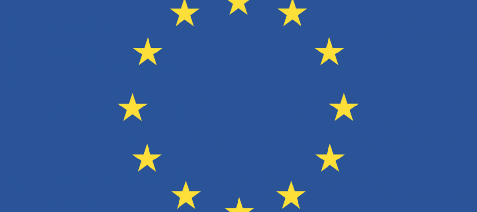 Hva sjekkes ved EU-kontroll